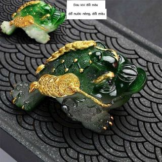 Thiềm Thừ Đổi Màu - Ngậm Tiền Trang trí