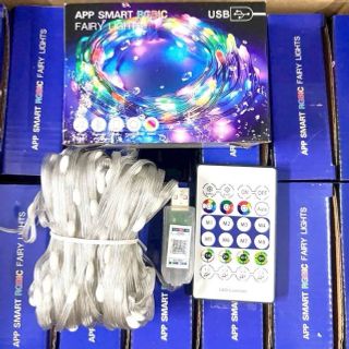 Dây Led hạt gạo RGB 16 triệu màu nháy đuổi 10M 20M