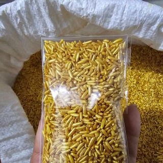 GẠO VÀNG THẦN TÀI PHONG THUỶ