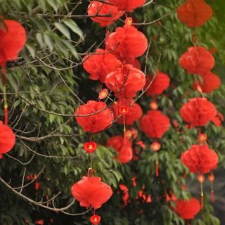 SET 10 LỒNG ĐÈN TRANG TRÍ TẾT #25 - 20CM