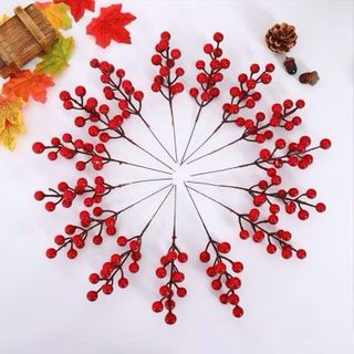 SET 10 NHÀNH ĐÀO ĐÔNG NHỎ