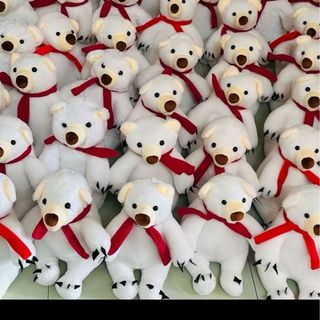 Gấu Bắc cực hot hit mua noell