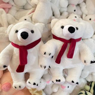 Gấu Bắc cực hot hit mua noell