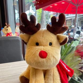 Tuần Lộc hót hit the 25cm