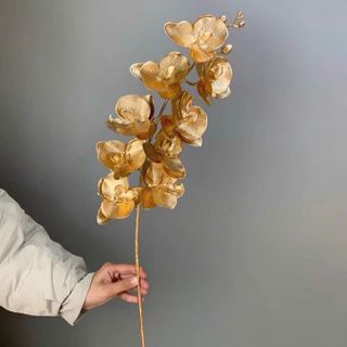 CÀNH LAN HỒ ĐIỆP MẠ VÀNG (78cm) TRANG TRÍ TẾT