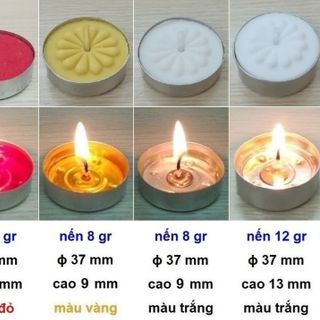 TEALIGHT HOA MAI 8GR