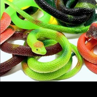 Rắn đồ chơi nè có nhiều màu nha
