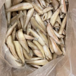 CÁ ĐỤC LÀM SẠCH, SIZE 30/35 CON/KG