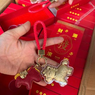 móc khóa Ngọ đồng tiền may mắn hàng xịn bao đẹp ( Hàng Gía Tận Xưởng )