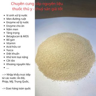 GIẢI PHÁP VI SINH CHO AO NUÔI HIỆU QUẢ- SACCHAROMYCES CEREVISIAE (THT)