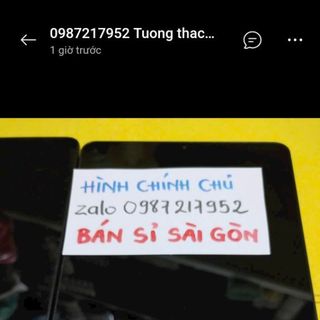 Bông tai mẫu y hình nha