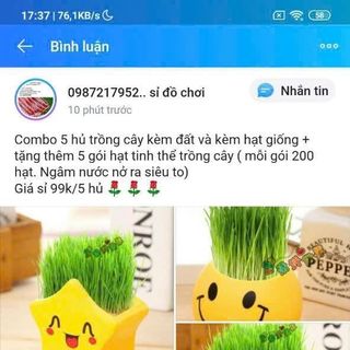 Hủ trồng cây đẹp trang trí