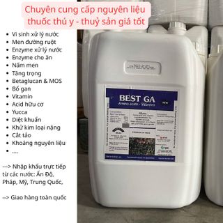 BEST GA - bổ gan thảo dược dạng nước