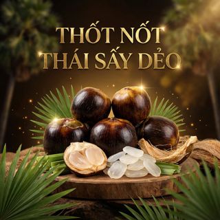 THỐT NỐT THÁI SẤY DẺO - TỰ NHIÊN - NGON - BỔ - NGỌT THANH 500G - WINNIE HOUSE