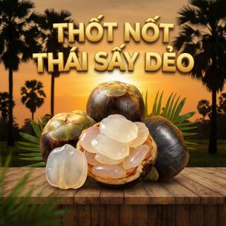 THỐT NỐT THÁI SẤY DẺO - TỰ NHIÊN - NGON - BỔ - NGỌT THANH 500G - WINNIE HOUSE