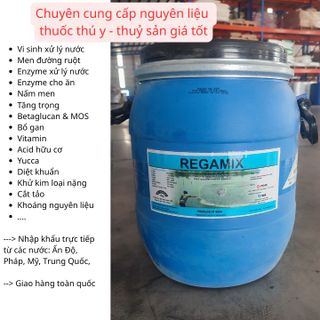 Bổ gan dạng bột - REGAMIX