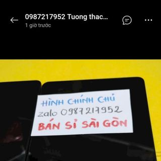 Vòng chuỗi đeo tay đẹp 10 ly màu y hình