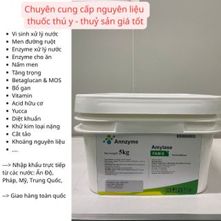 ENZYME AMYLASE FAM -5