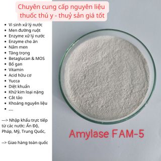 ENZYME AMYLASE FAM -5