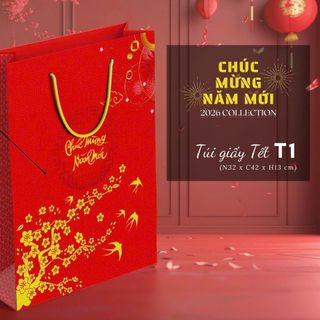 TÚI QUÀ [TẾT] DÂY BỆN  SIZE L : (42x32x13)cm