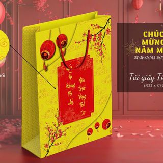 TÚI QUÀ [TẾT] DÂY BỆN  SIZE L : (42x32x13)cm