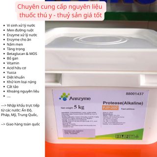PROTEASE (ALKALINE) – Enzyme tiêu hoá đậm đặc
