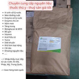 PROTEASE (ALKALINE) – Enzyme tiêu hoá đậm đặc