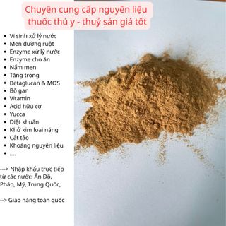 PROTEASE (ALKALINE) – Enzyme tiêu hoá đậm đặc