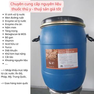 BACILLUS CLAUSII 5B – Vi sinh đơn dòng xử lý nước