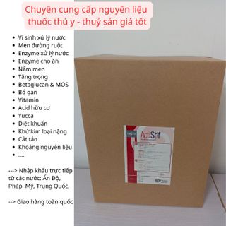 ACTISAF 48 - nấm men đậm đặc - thuốc thuỷ sản