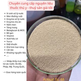 ACTISAF 48 - nấm men đậm đặc - thuốc thuỷ sản