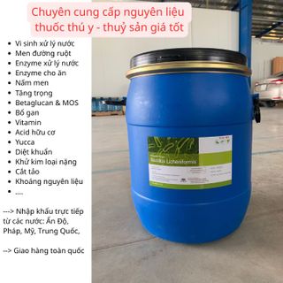 BACILLUS LICHENIFORMIS 10 tỷ– Vi sinh làm sạch nước, hỗ trợ tiêu hóa