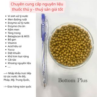 BOTTOM PLUS – Nhanh chóng giảm lượng Amoniac, Nitrit, khử mùi hôi và hydro sunfua