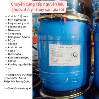 BACILLUS SUBTILIS – Siêu lợi khuẩn xử lý nước, hỗ trợ tiêu hóa