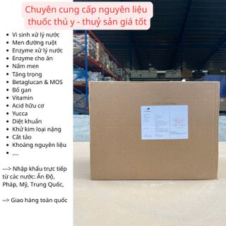 Nấm men đậm đặc 15 tỷ - Phileo