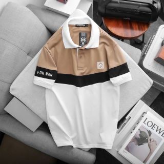 Ao thun co co cao cấp moi 2025