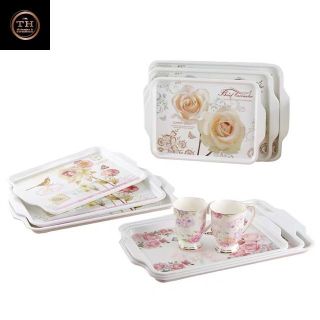 818 - Khay đĩa phíp CN 30*26*3.6 (THÙNG 32C)