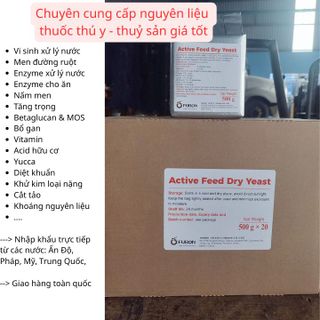 ACTIVE FEED FRY YEAST – Nấm men đậm đặc