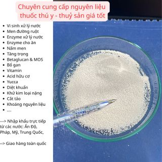 ACTIVE FEED FRY YEAST – Nấm men đậm đặc