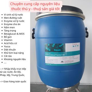 ENTEROCOCCUS FAECIUM 5B – Vi sinh đơn dòng cao cấp