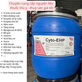 CYTO – EHP: Giải pháp thảo dược tự nhiên giúp ngăn ngừa EHP – Bệnh phân trắng trên tôm