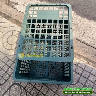Rổ Xoài 30Kg - Rổ nhựa đựng xoài chất lượng