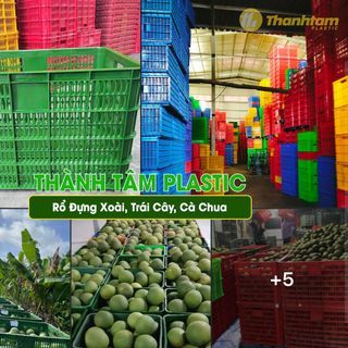 Rổ Xoài 30Kg - Rổ nhựa đựng xoài chất lượng