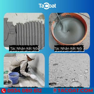 [10 Lít] Phụ Gia Chống Thấm Và Tác Nhân Kêt Nối TACOAT LATEX - Chống thấm tuyệt hảo, kháng mài mòn