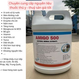 AMIGO 500