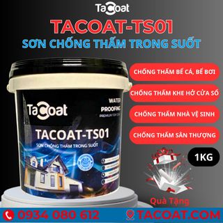 [1 KG] chống thấm sàn gạch men, chống thấm gỗ, chống thấm lộ thiên ngoài trời - Sơn chống thấm trong suốt TACOAT