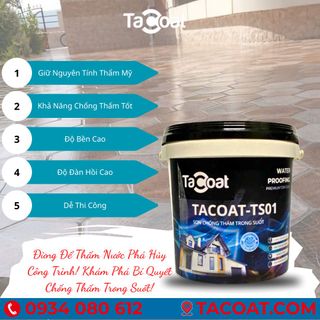 [1 KG] chống thấm sàn gạch men, chống thấm gỗ, chống thấm lộ thiên ngoài trời - Sơn chống thấm trong suốt TACOAT