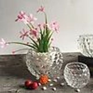 YH LX8009 Cầu Bi Âu Bi 13cm ( THÙNG 18C )