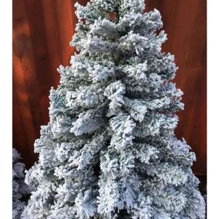 Cây Thông Noel * Không Kèm Phụ Kiện * 2m1 ( THÙNG 6C )