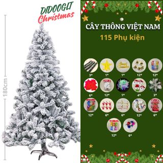 Cây Thông Noel * Không Kèm Phụ Kiện * 2m1 ( THÙNG 6C )